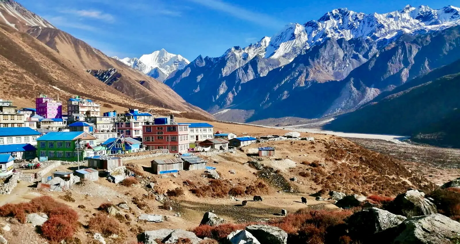 Langtang Helitrekking